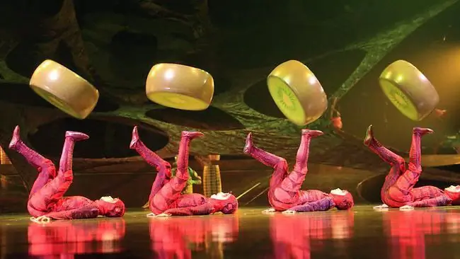 Cirque du Soleil Sankt Peterburge: pasirodymo originalumas ir ryškumas