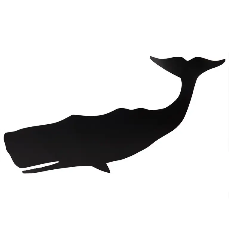 Silhouette. Sperm whale