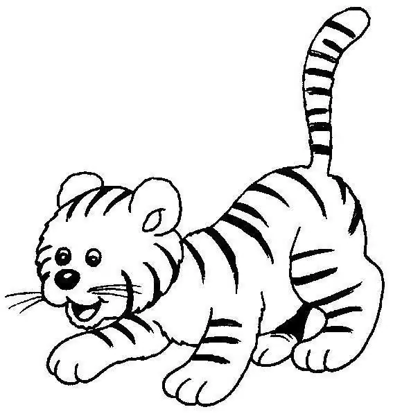 how to draw a tiger cub