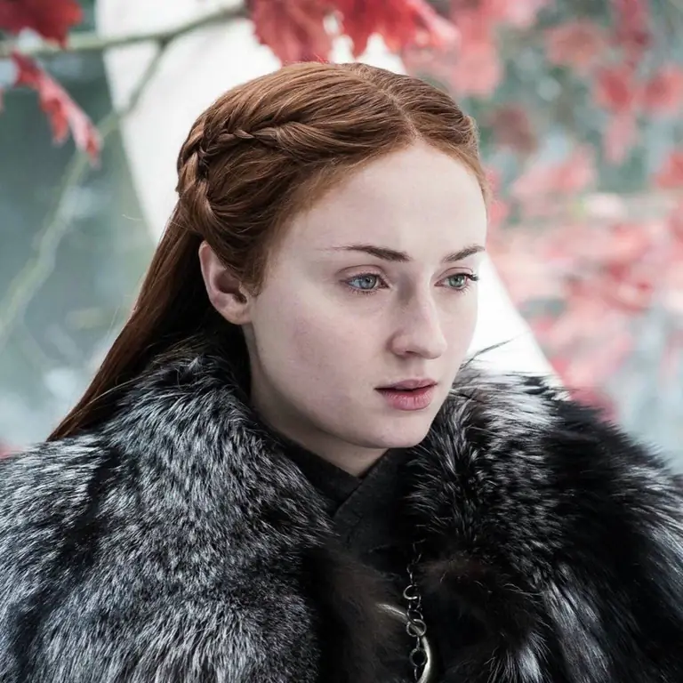 sansa stark història