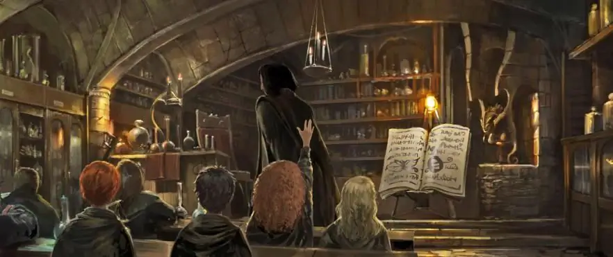 Harry Potter potions: types, classification, magical ingredients and potion rules, purpose and use Harry Potter potions: types, classification, magical ingredients and potion rules, purpose and use
