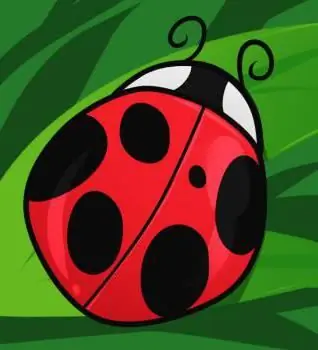 Ladybug. Қалай сурет салу керек? Егжей-тегжейлі орындау қадамдары