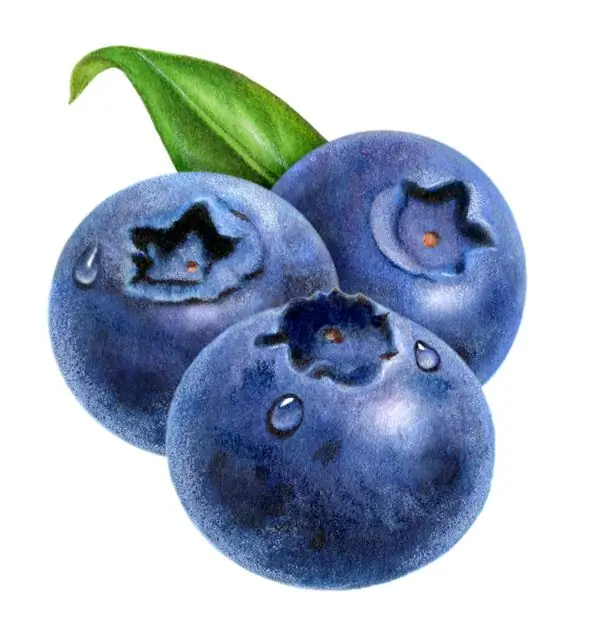 blueberries