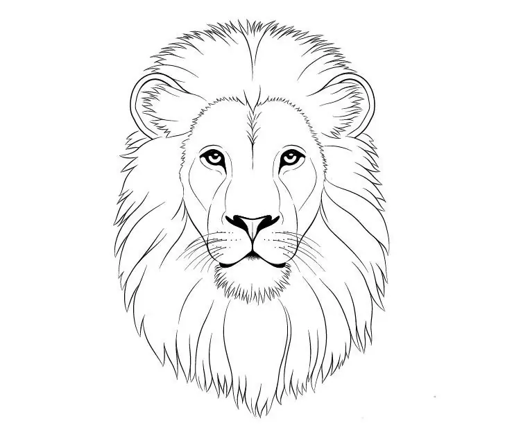 How to draw a lion's head with a pencil