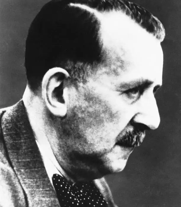 mann heinrich biografie