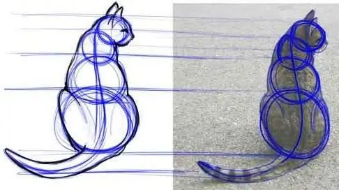 how to draw a cat