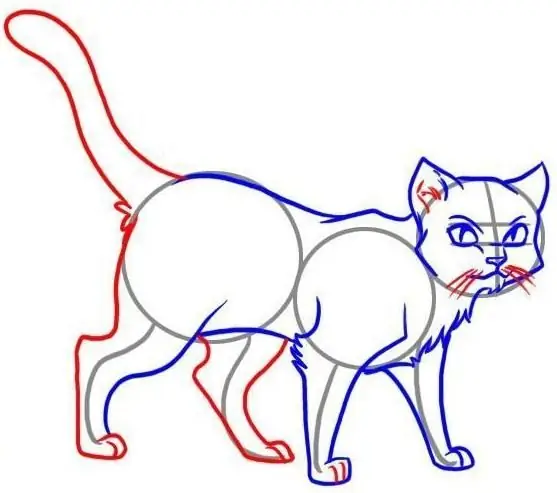 cat outline