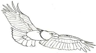 how to draw a double-headed eagle