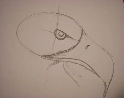 eagle how to draw