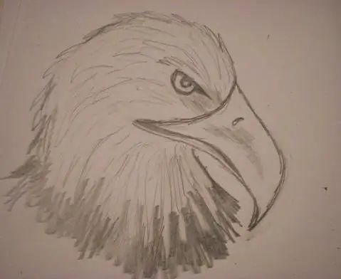 eagle how to draw