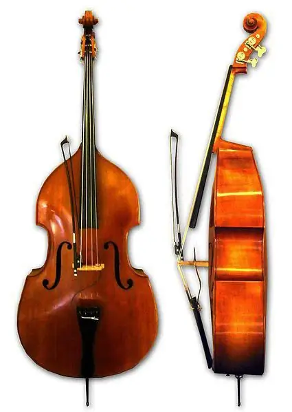 How many strings does a double bass have and how does it differ from other stringed instruments?