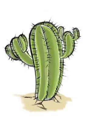 kung paano gumuhit ng isang cactus hakbang-hakbang