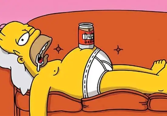 Homer Simpson: descrição do personagem, características, foto