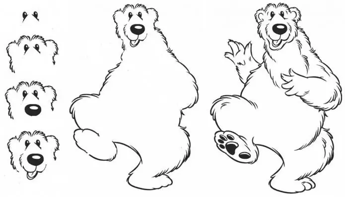 Master class "How to draw Masha and the Bear"