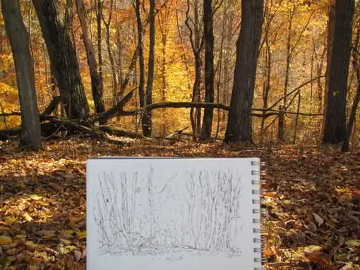 Autunno dorato: come disegnare con una matita, colori, guazzo