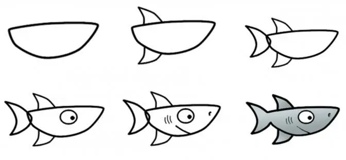 How to draw a shark: master classes for different ages