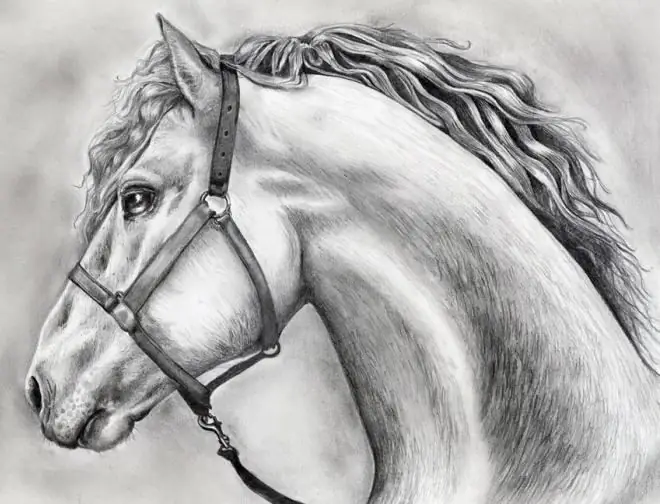 how to draw a horse head with a pencil