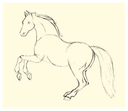 how to draw a beautiful horse outlines