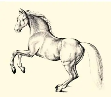 how to draw a beautiful hatching horse