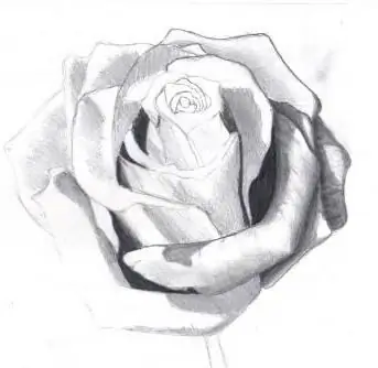 cómo dibujar una rosa con lápices y crear una sombra