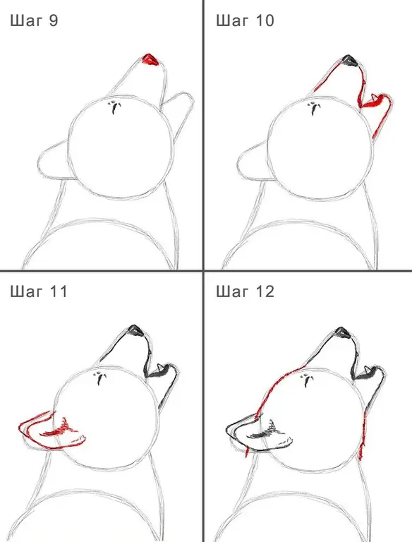 Kuinka realistisesti piirtää susi 9-12