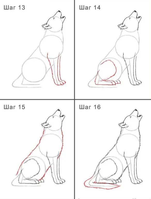 Wie einfach es ist, einen Wolf 13-16 zu zeichnen