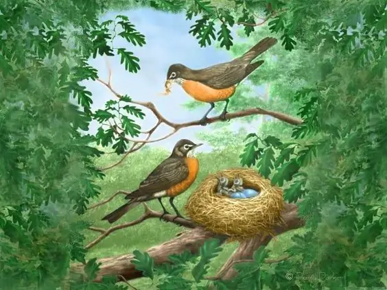 Color drawing of a nest with birds