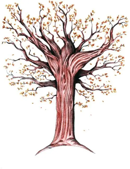 come disegnare un albero autunnale