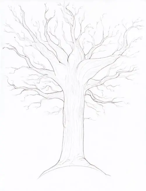 how to draw a tree trunk