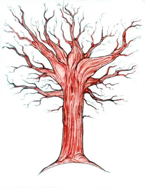 disegno dell'albero