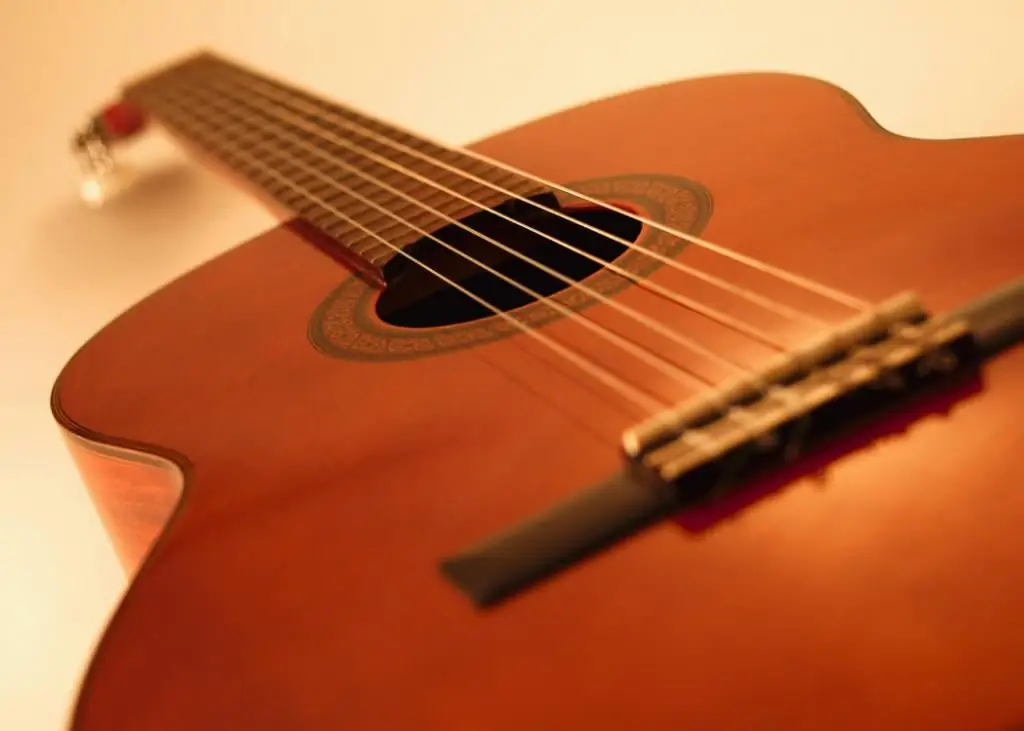 A good guitar for beginners: types and types, classification, functions, characteristics, selection rules, application features and rules of the game