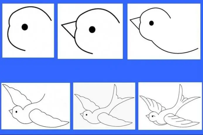 how to draw a swallow step by step