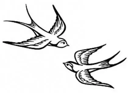 Kā uzzīmēt bezdelīgu - vairāki veidi Kā uzzīmēt bezdelīgu - vairāki veidi