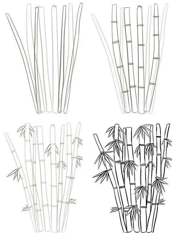 how to draw bamboo step by step