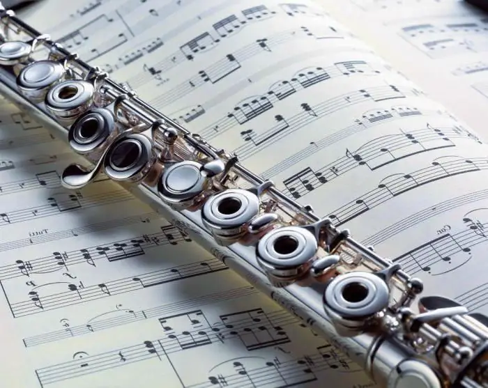 The flute is the oldest musical instrument