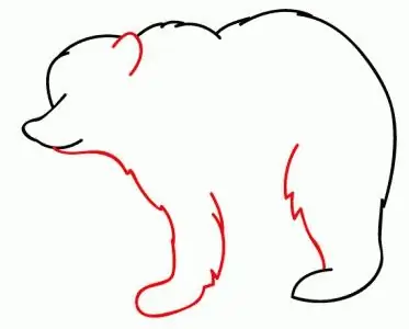 como dibujar un oso paso a paso