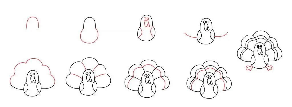 Stages of drawing a turkey