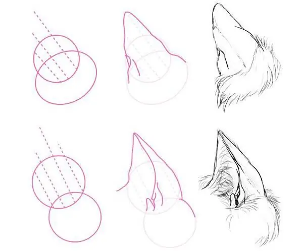 wolf ears