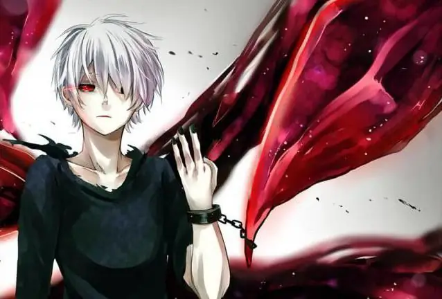 A série animada "Tokyo Ghoul": atores, uma breve descrição do enredo