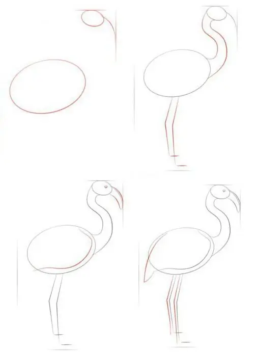 como desenhar um flamingo passo a passo