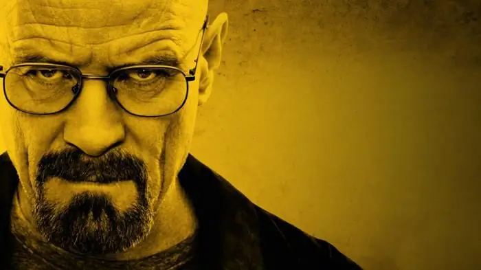 De serie "Breaking Bad": recensies, recensies. "Breaking Bad": acteurs