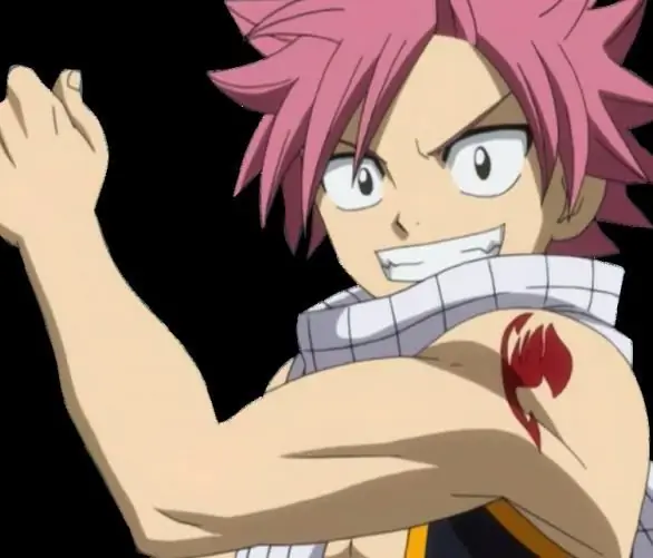 Karakter Fairy Tail. Deskripsi karakter Fairy Tail