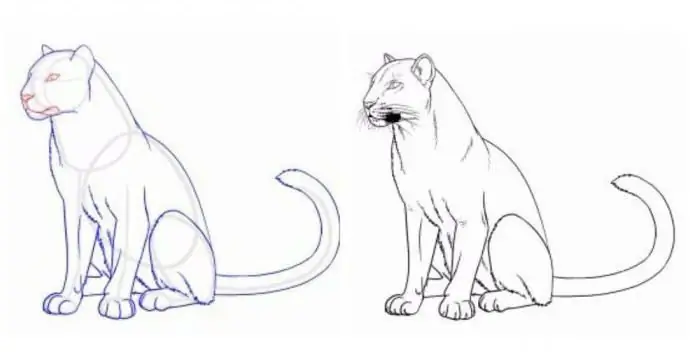 How to Draw a Panther: A Beginner's Guide